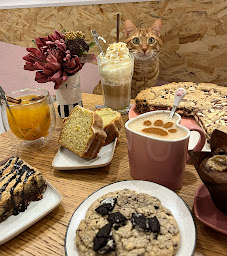 Photo n°27 de Meow Cats Café - Cats & Coffee (+6 ans) à Aix-en-Provence ()
