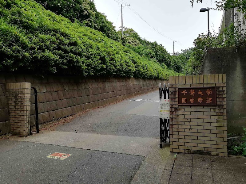 千葉大学 松戸キャンパス 千葉県松戸市松戸 大学 大学 グルコミ