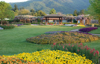 Karen Aitken & Associates - Landscape Architects - Photo 4 - Car repair in , Gilroy