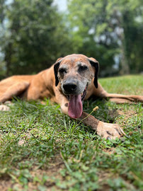 Catherine Rae Photography - Photo 8 - Car repair in Alexandria, VA, Alexandria