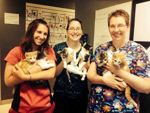 Delton Veterinary Hospital