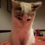 Photo n°1 de l'avis de Pierluigi.a fait le 21/02/2021 à 17:51 sur le  Penny Market à Sanfrè