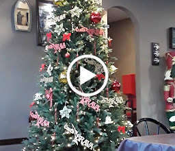 Plaza Insurgentes photo