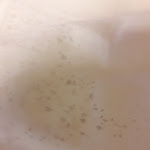 Photo n°1 de l'avis de Klaus.p fait le 08/08/2019 à 10:41 sur le  Hotel-Restaurant Seegarten à Quickborn