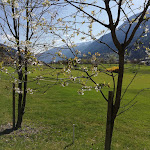 Photo n°5 de l'avis de Moreno.a fait le 23/04/2019 à 12:09 sur le  Golf Club Rendena à Bocenago