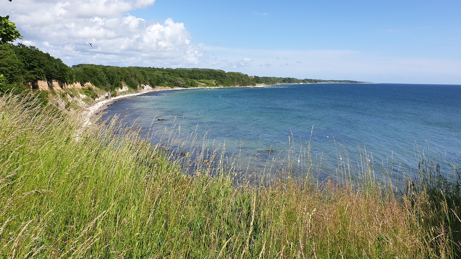 Foto von Sose Strand mit sehr sauber Sauberkeitsgrad