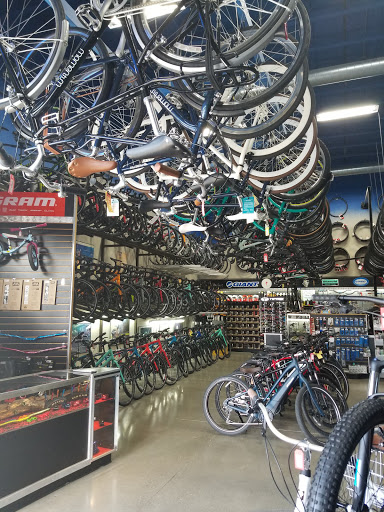 Bicycle Store «Bicycle Centres of Everett», reviews and photos, 4707 Evergreen Way, Everett, WA 98203, USA