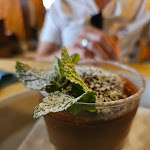 Photo n°3 de l'avis de Valerie.e fait le 10/09/2023 à 20:18 sur le  La Zucca à Venice