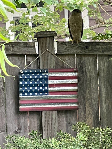 Thrift Store «St. Vincent de Paul», reviews and photos, 575 Rainier Ave N, Renton, WA 98057, USA