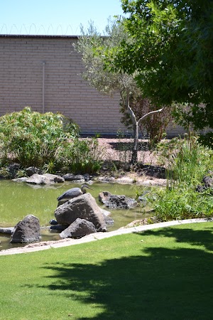 Lakeview Recreation Center - photo 9