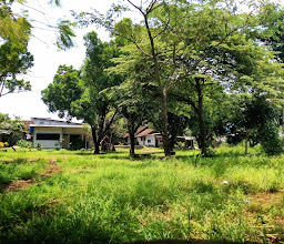 Bedilan photo