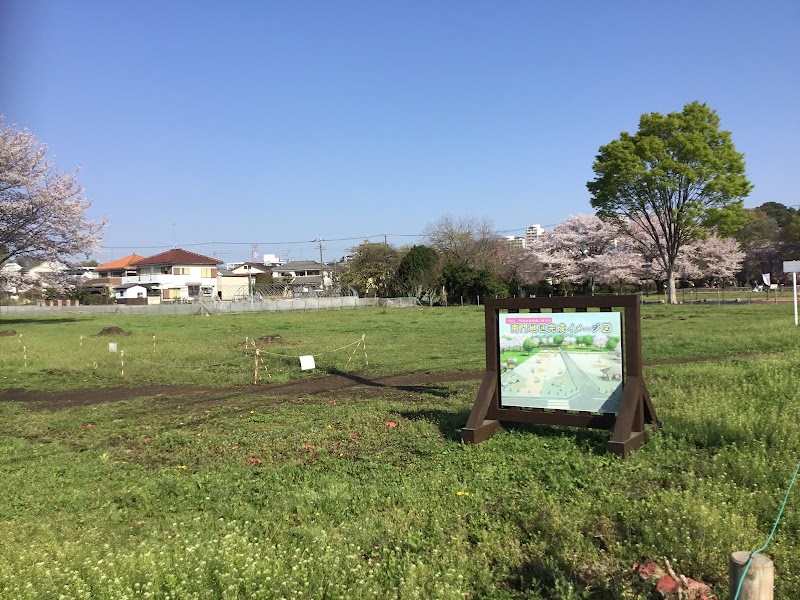 武蔵国分寺僧寺 南門跡