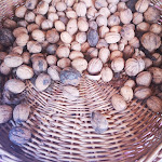 Photo n°10 de l'avis de Raffaele.r fait le 25/08/2019 à 18:00 sur le  Agriturismo La Petrosa di Celzi- FORINO AVELLINO à Forino