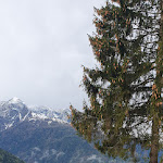 Photo n°2 de l'avis de peppe.i fait le 08/05/2023 à 12:22 sur le  Albergo Eden à Villa Dalegno