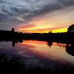 Photo n°1 de l'avis de Nanc.e fait le 26/06/2020 à 20:43 sur le  Andresini Pinseria Pizzeria à Lichtenfels