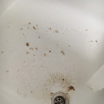 Photo n°4 de l'avis de Knut.e fait le 21/01/2019 à 10:25 sur le  Hotel Bauernschänke Gmbh à Cologne