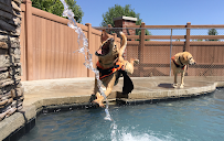 City Bark Parker - Photo 8 - Car repair in Parker, CO, Aurora