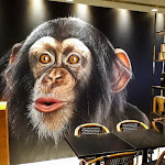 Photo n°3 de l'avis de Waterman. fait le 19/06/2019 à 18:02 sur le  Hops Food & Beer à Civitanova Marche