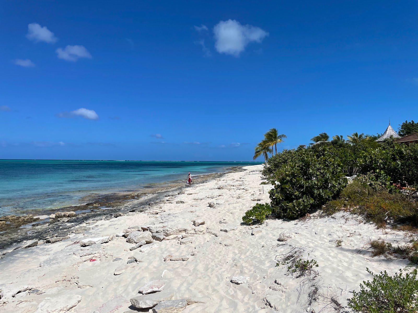 Photo de Turtle cove zone sauvage