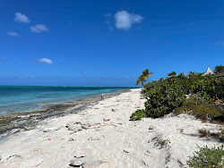 Photo de Turtle cove zone sauvage