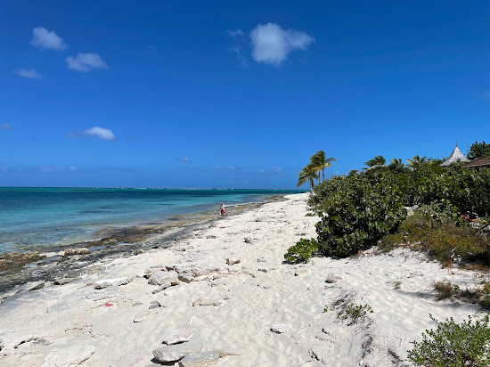 Turtle cove