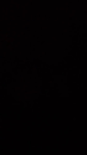 Opinii despre Jakub Koutný în Ústí nad Labem - Úklidová služba