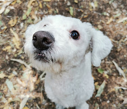 Sobre Avenida Taxqueña, Entre Cerro De La Estrella Y Cerro Cubilete Park photo