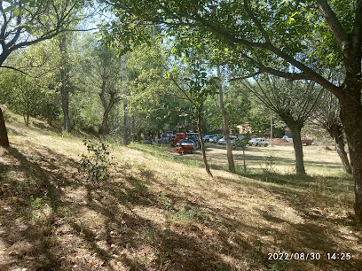 Çiftepınar Köyü Cami