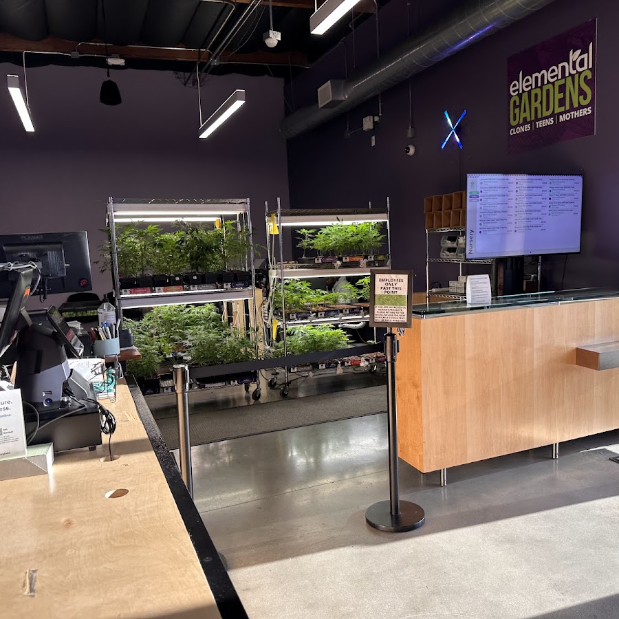 Elemental Wellness Center