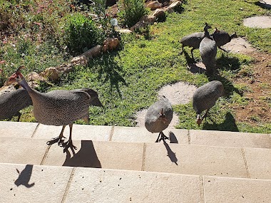 Omaruru Wildlife Estate