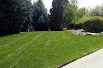 Basque Landscaping LLC - Photo 1 - Car repair in , Reno