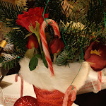 Photo n°8 de l'avis de Ruedi.. fait le 25/12/2023 à 16:45 sur le  Restaurant Gode Stuv à Sylt/Westerland