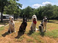 Copilot Academy, LLC