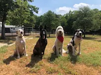 Copilot Academy, LLC - Car repair in Killeen, TX, Killeen - Rated 4.8/5