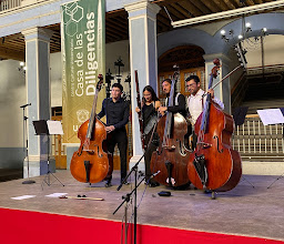 Centro Cultural Universitario Casa de las Diligencias photo