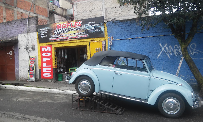 MOFLES OSCAR
