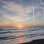 Photo n°4 de l'avis de Iryna.a fait le 27/04/2024 à 18:52 sur le  Oasi Fregene à Fregenae