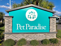 Pet Paradise Wesley Chapel - Photo 5 - Car repair in Wesley Chapel, FL, Brandon