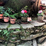 Photo n°7 de l'avis de Nico.a fait le 22/10/2019 à 22:04 sur le  Restaurant Taverne Robustello à Colico