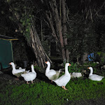 Photo n°4 de l'avis de Beata.b fait le 22/10/2022 à 20:57 sur le  La Porta Del Gusto à Eboli