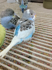 Petco - Photo 3 - Car repair in Hamden, CT, New Haven