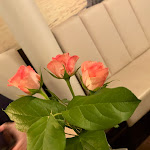 Photo n°6 de l'avis de Dieter.e fait le 28/11/2021 à 19:04 sur le  Wellenstein Cafe-Restaurant-Speisen à Ketzin