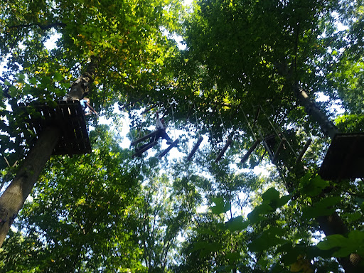 Amusement Park «The Adventure Park at the Discovery Museum», reviews and photos, 4450 Park Ave, Bridgeport, CT 06604, USA