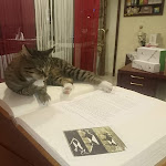 Photo n°4 de l'avis de Harald.u fait le 26/07/2018 à 18:10 sur le  Romantik Hotel Stafler à Vipiteno