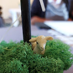 Photo n°2 de l'avis de Summer.r fait le 16/08/2023 à 13:07 sur le  Gasthof Zum weissen Lamm à Sommerach