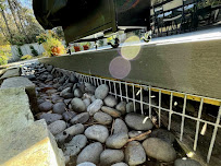 Urban Jungle Wildlife Removal - Louisiana - Photo 8 - Car repair in , League City