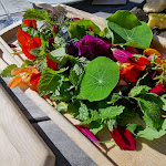 Photo n°10 de l'avis de Ralph.e fait le 15/10/2023 à 05:28 sur le  Hotel - Residence der bircher à Freienfeld