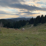 Photo n°4 de l'avis de Giulia.a fait le 18/07/2021 à 13:35 sur le  Rifugio Malga Moscarda à Bosco Chiesanuova