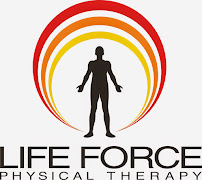 Life Force Physical Therapy - Photo 7 - Car repair in Veneta, OR, Eugene