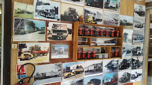 Photo n°28 de La Cabane Bambou à Saint-Martin-de-Crau ()